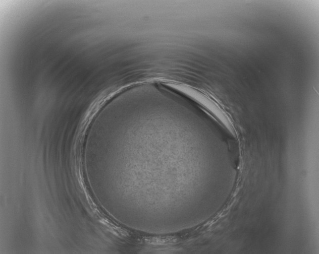 X0000080750241200612221352