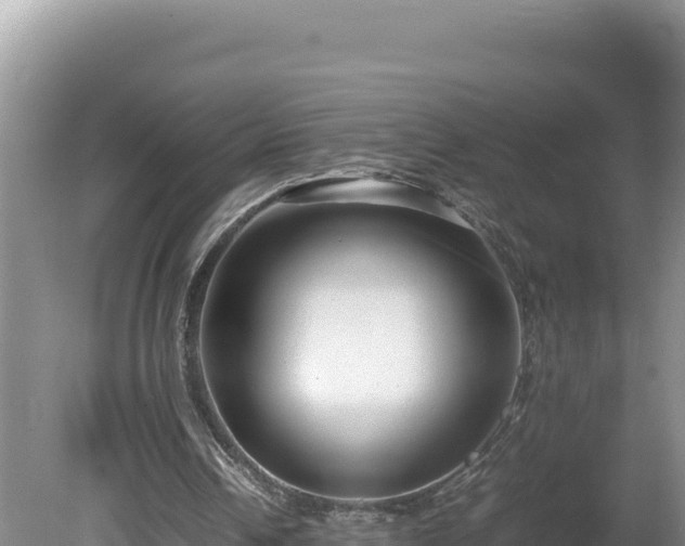X0000080750242200612221352