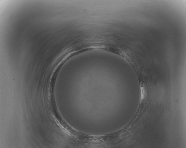 X0000080750243200612221352