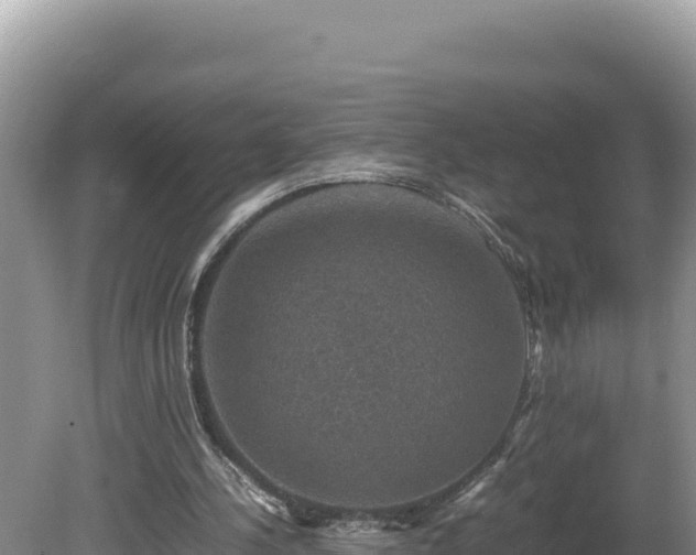 X0000080750244200612221352