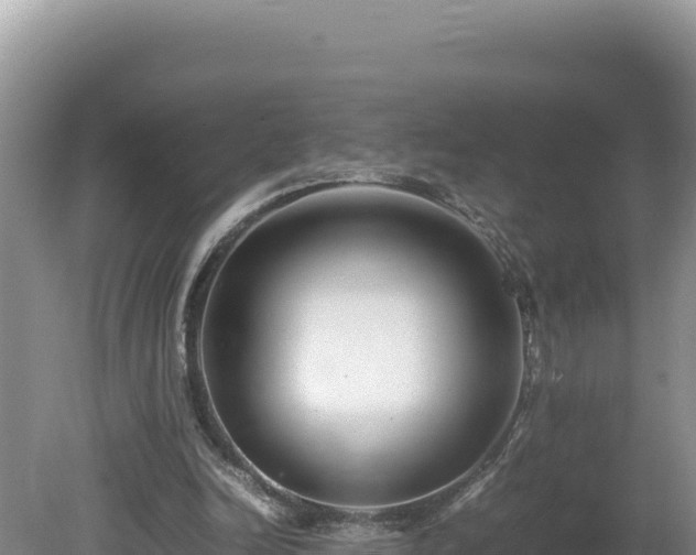 X0000080750246200612221352
