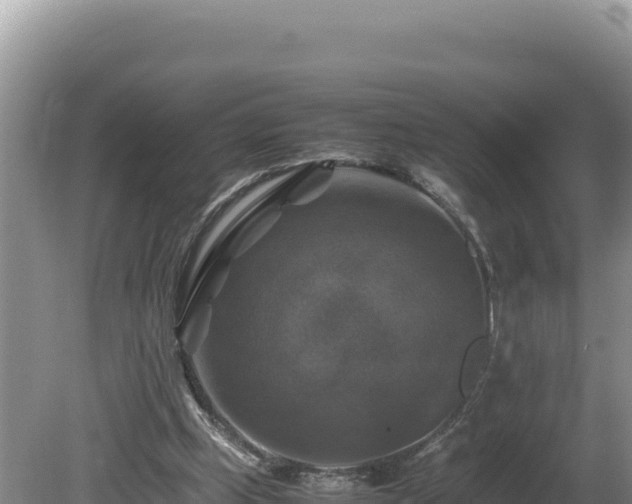 X0000080750249200612221352