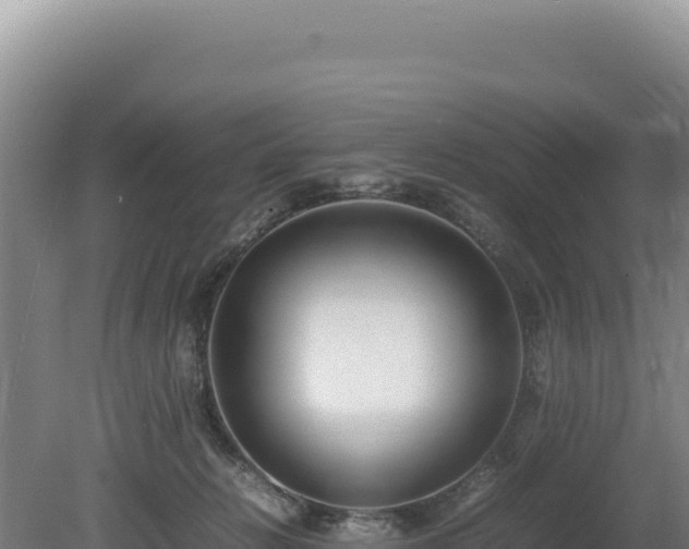 X0000080750270200612221352
