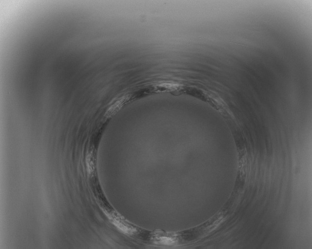 X0000080750285200612221352