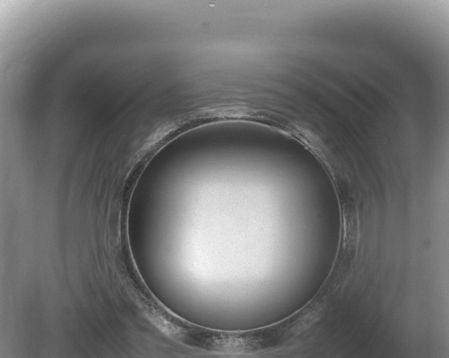 X0000080750301200612221351