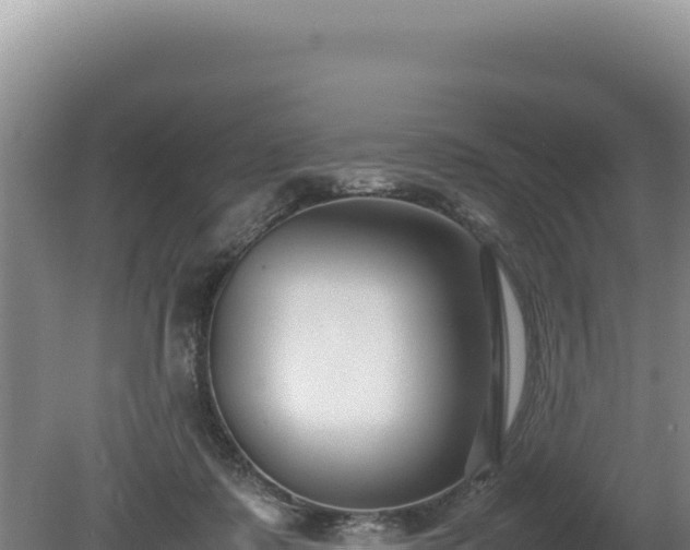 X0000080750315200612221351