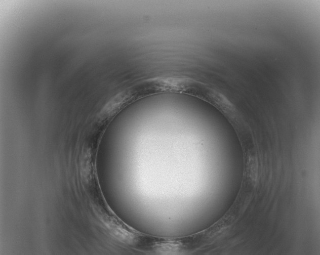X0000080750318200612221351