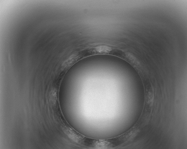 X0000080750321200612221351