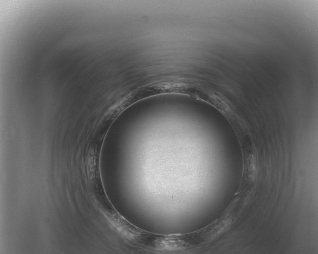 X0000080750372200612221351