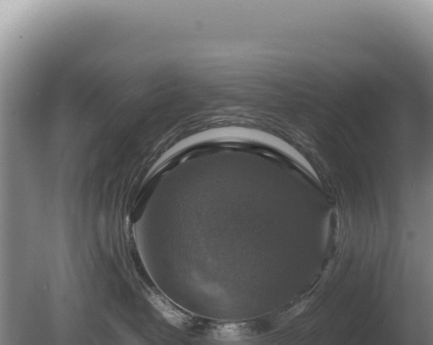 X0000080750382200612221351