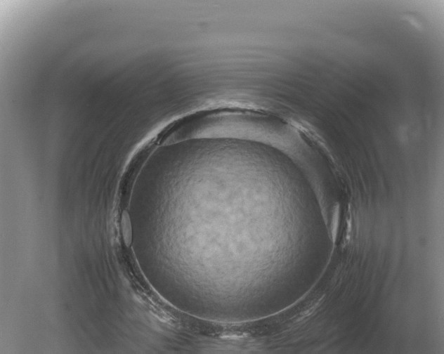 X0000080750388200612221350