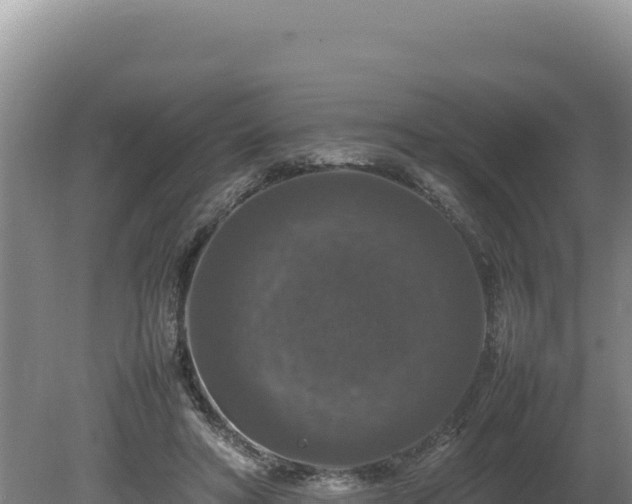 X0000080750402200612221350