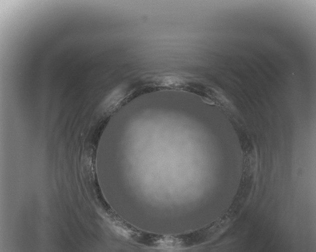 X0000080750415200612221350