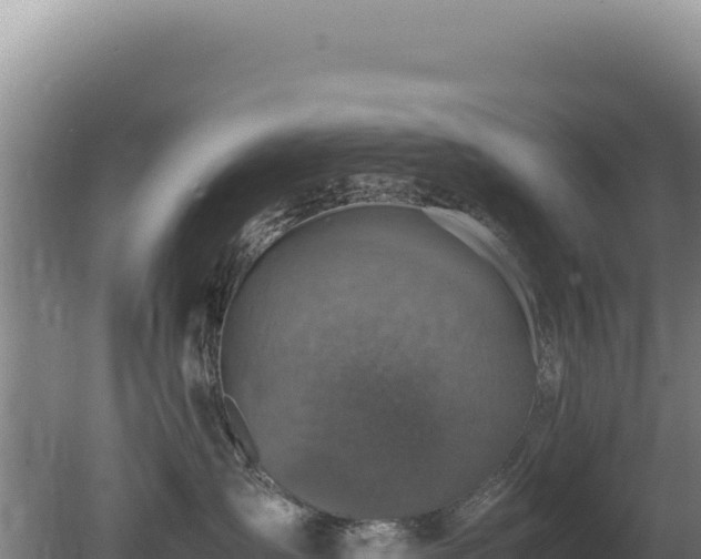 X0000080750431200612221349