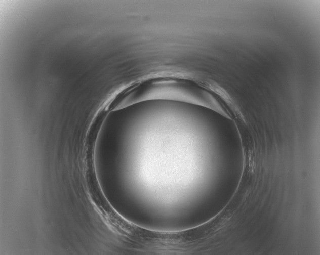 X0000080750436200612221349