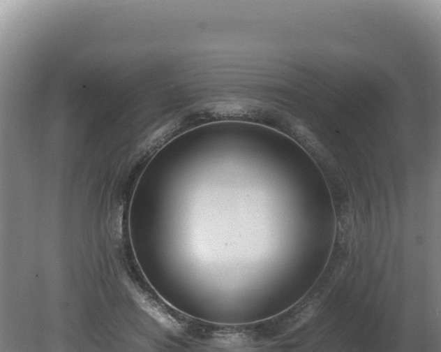 X0000080750454200612221349