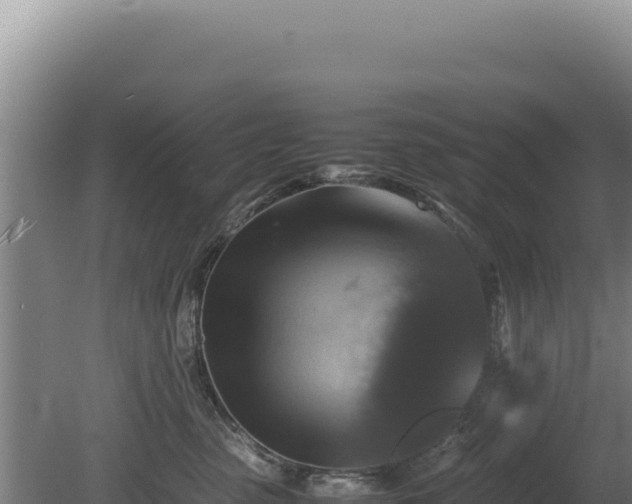 X0000080750475200612221349