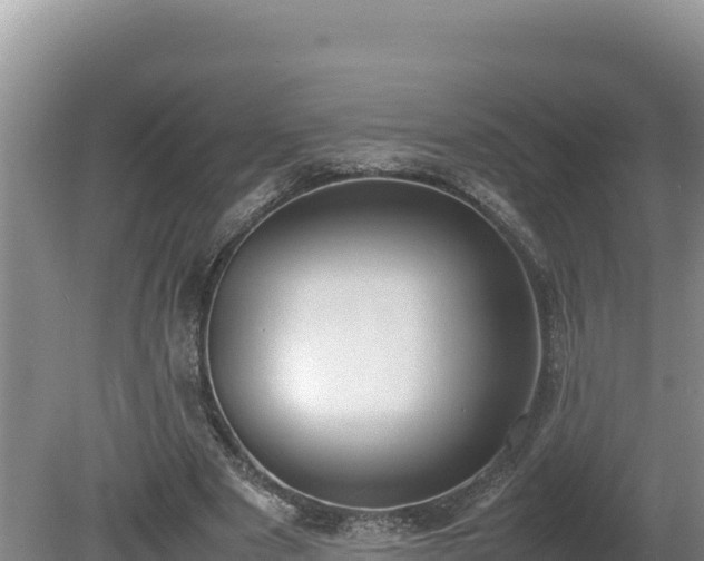 X0000080750489200612221348