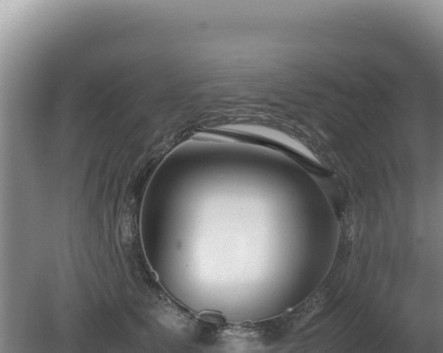 X0000080750515200612221348