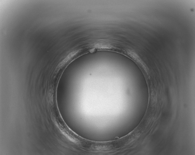 X0000080750533200612221347
