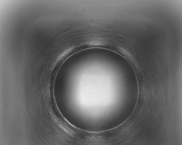 X0000080750535200612221347