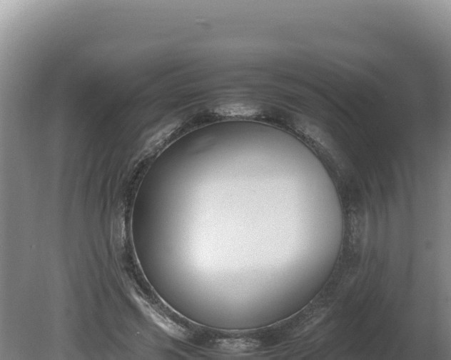 X0000080750541200612221347