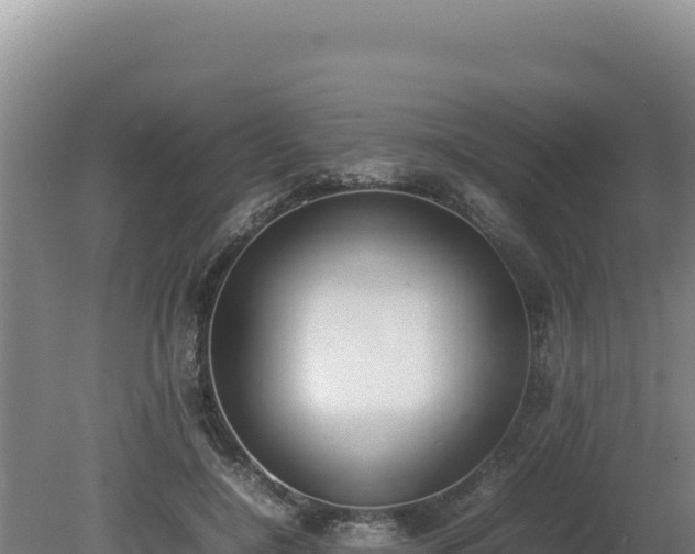 X0000080750548200612221347