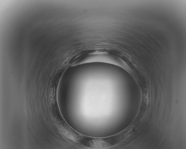 X0000080750605200612221346