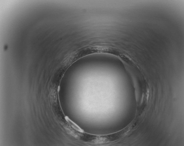 X0000080750609200612221346