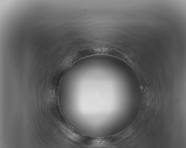 X0000080750614200612221346