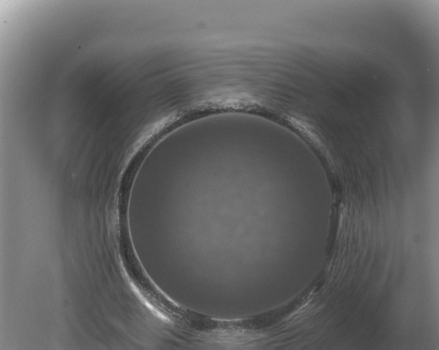 X0000080750630200612221345