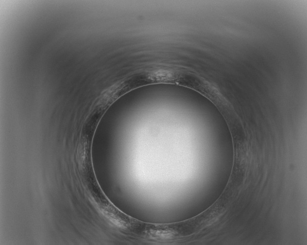 X0000080750645200612221346