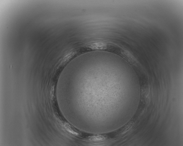 X0000080750652200612221346