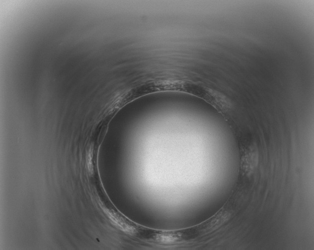 X0000080750662200612221346