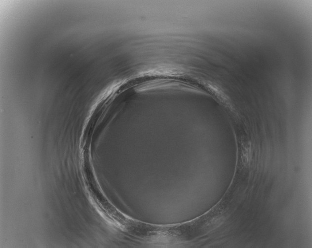 X0000080750678200612221345