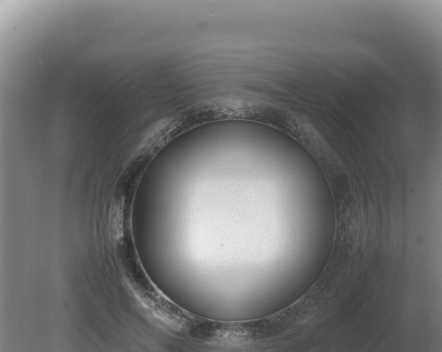 X0000080750694200612221345