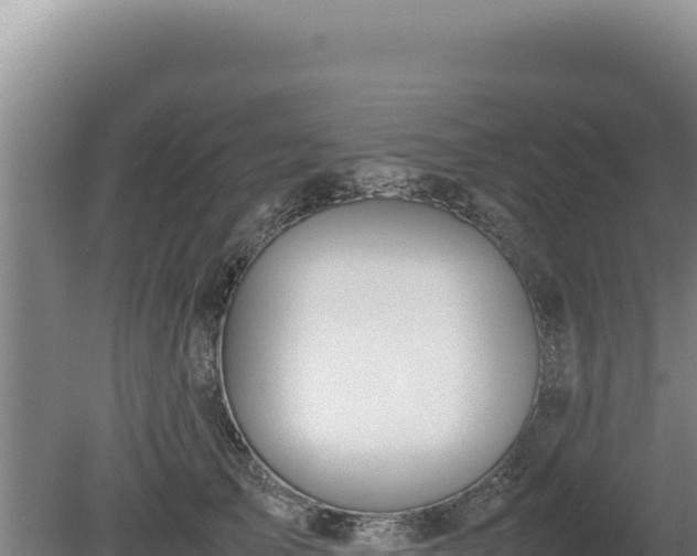 X0000080750705200612221345