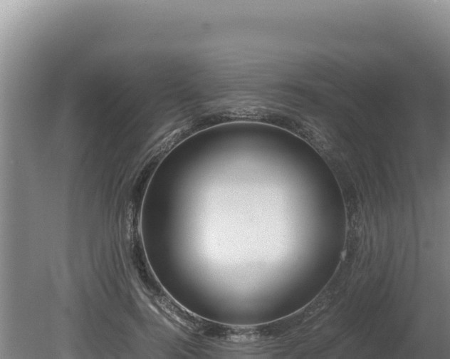 X0000080750744200612221344