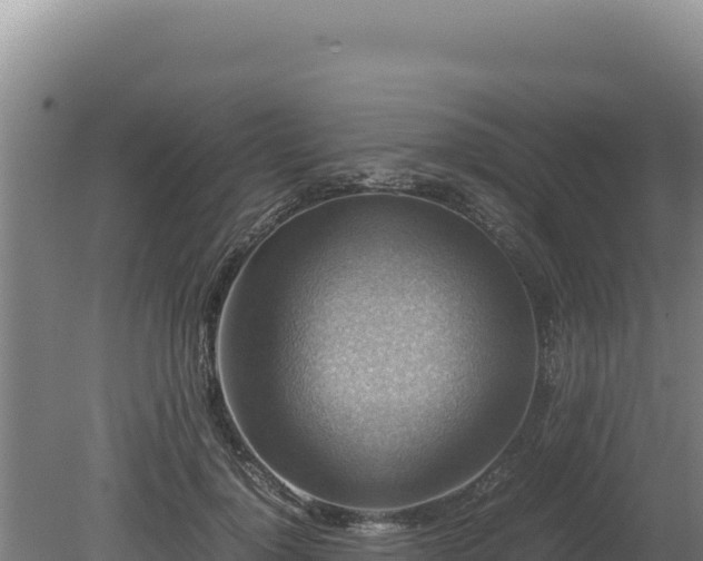 X0000080750748200612221344