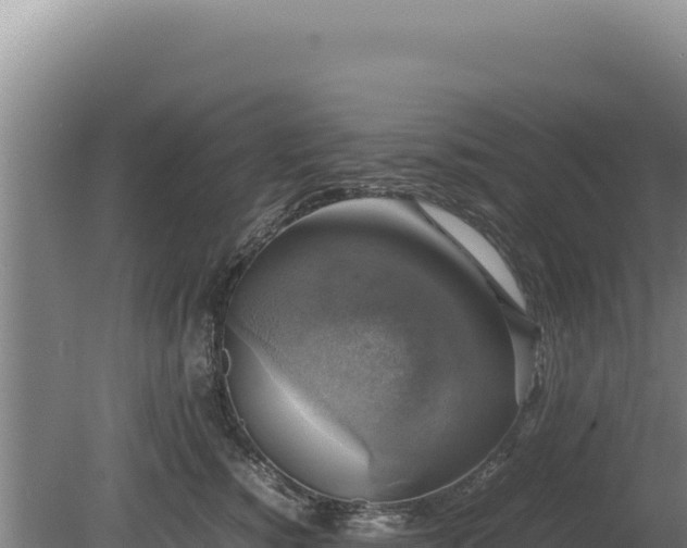 X0000080750760200612221344