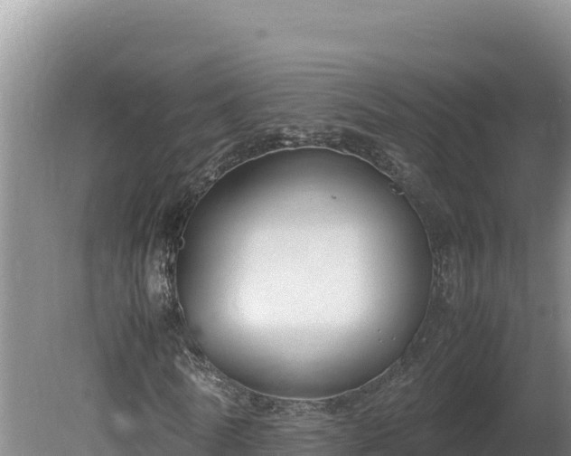 X0000080750770200612221344