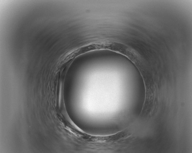 X0000080750773200612221344