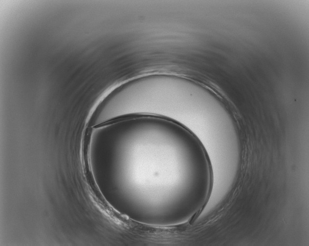 X0000080750788200612221343