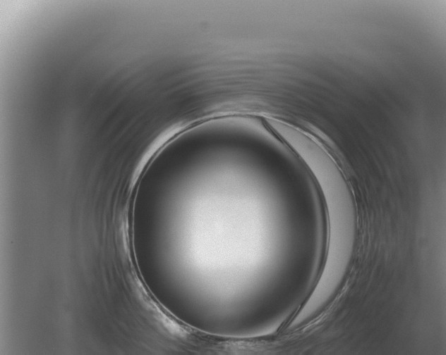 X0000080750812200612221343