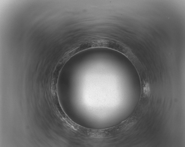 X0000080750819200612221342