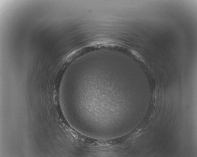 X0000080750822200612221342