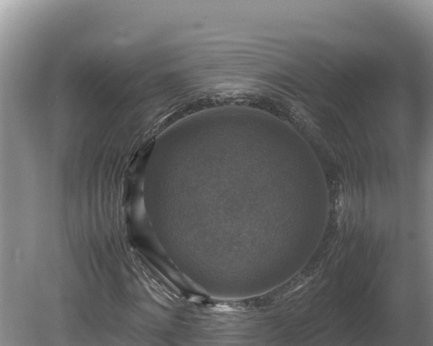 X0000080750868200612221342
