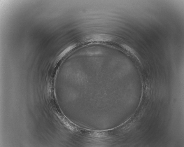 X0000080750874200612221342