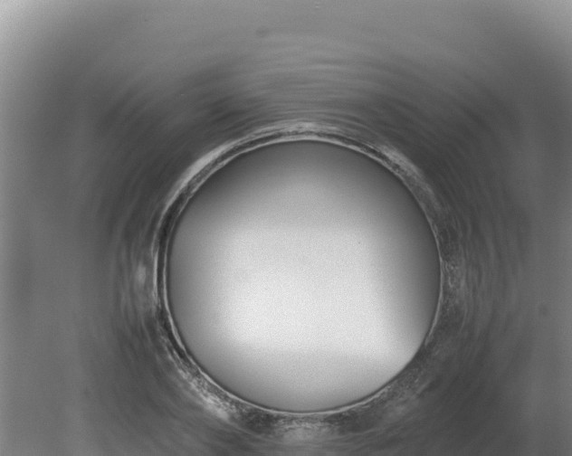 X0000080750886200612221342