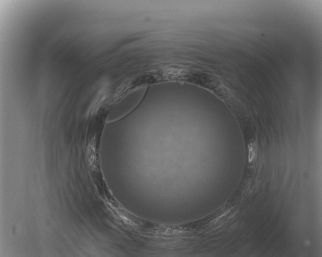 X0000080751011200612221339